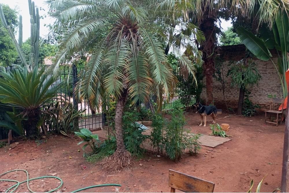 Terreno con casa paiñu Ñemby gran ubicacion, foto 5