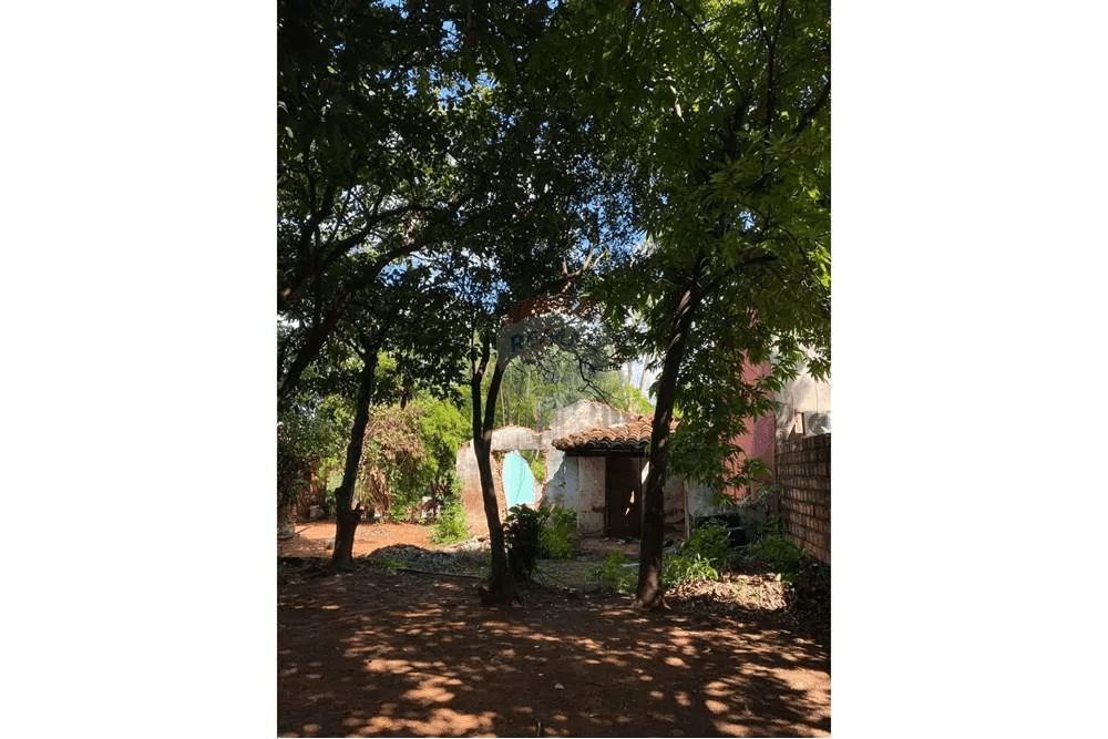 Terreno en San Lorenzo-reducto, foto 5