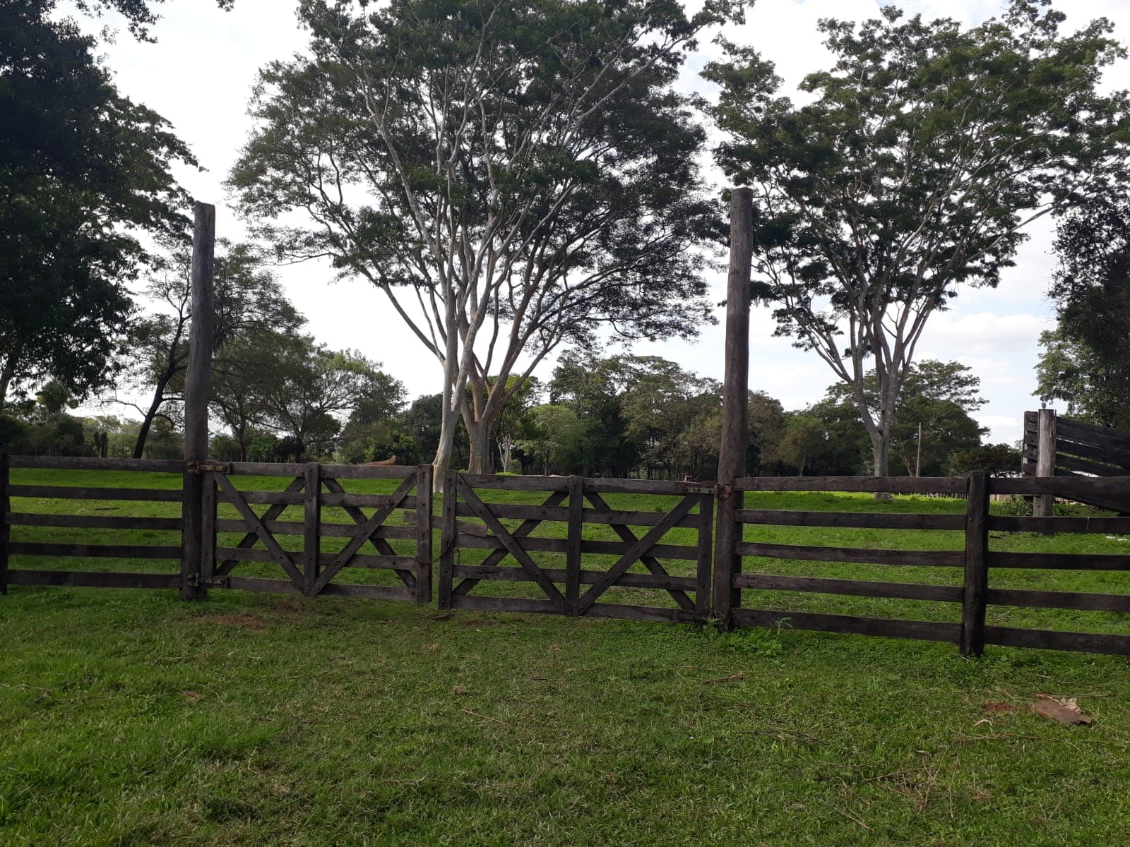 De 200 hectareas en r.i. 3 corrales caaguazu, foto 3