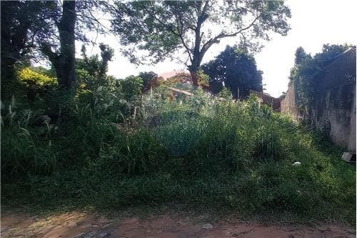 Terreno en Ñemby, foto 4