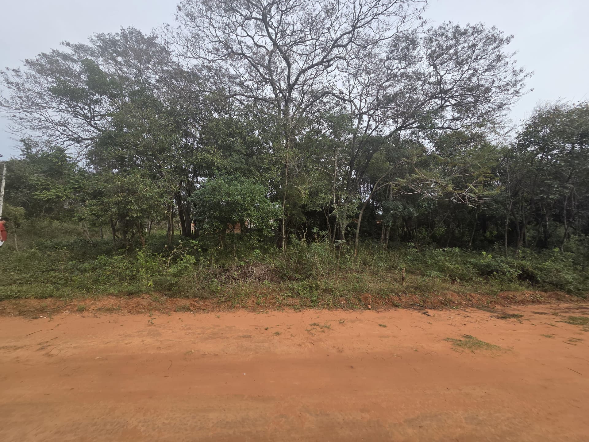 Vendo dos terrenos en Luque