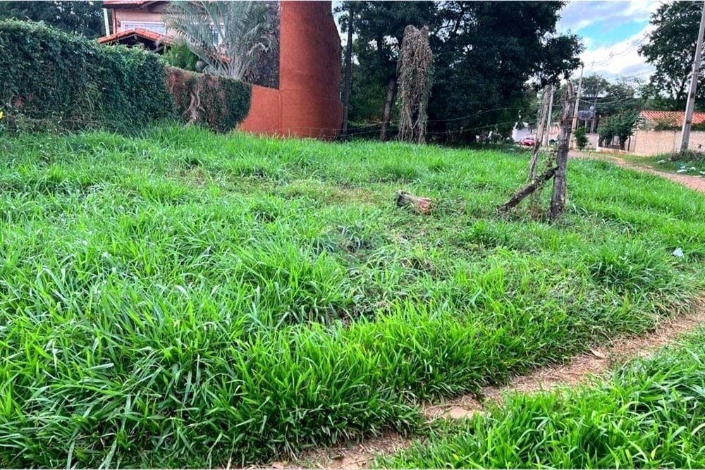 De terreno en isla bogado, Luque, foto 2