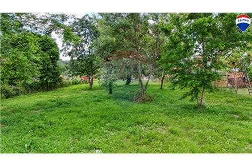 Amplio Terreno en Lambaré de 2901 m2, foto 4