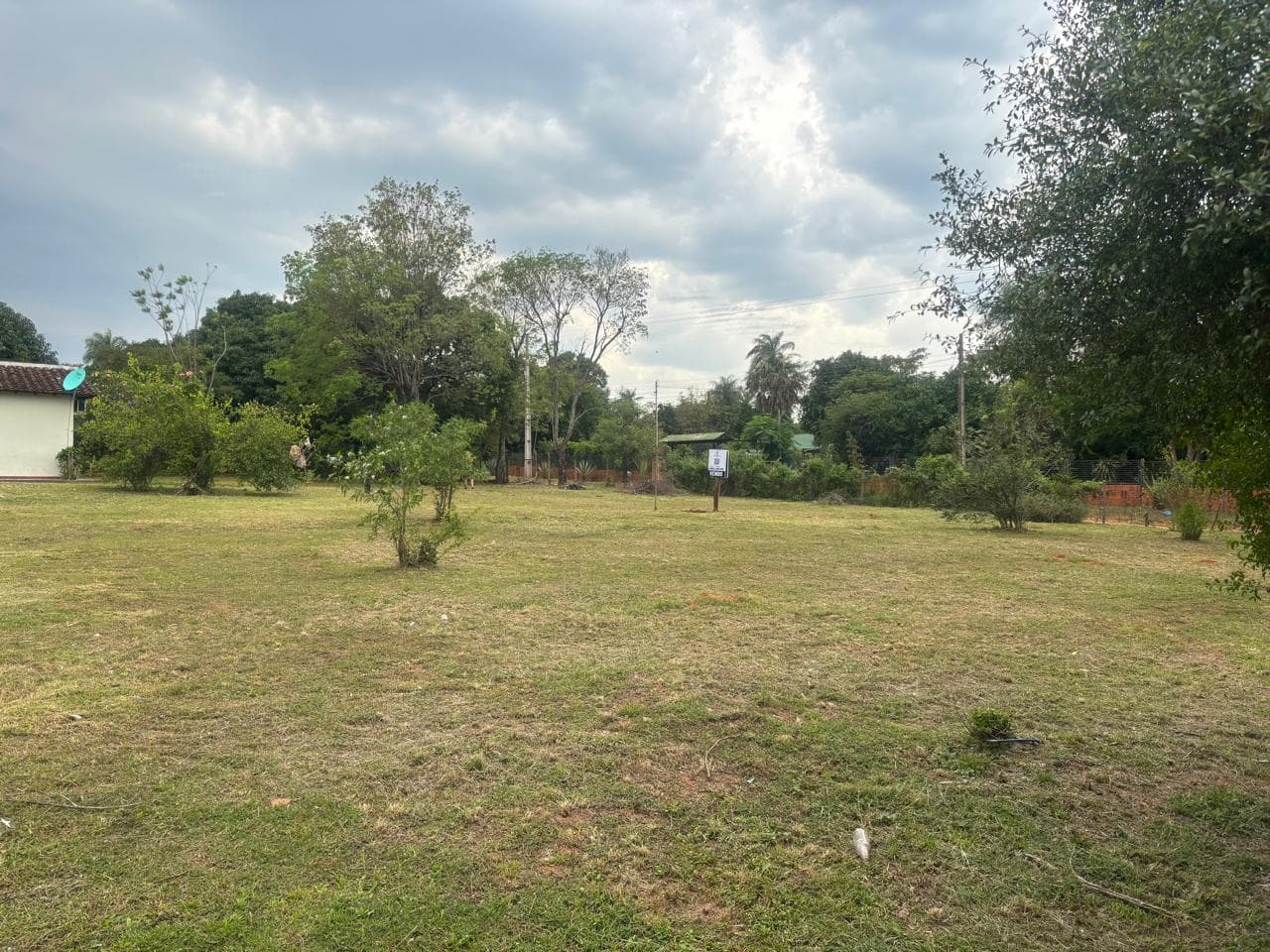 De Terreno En Limpio, foto 2