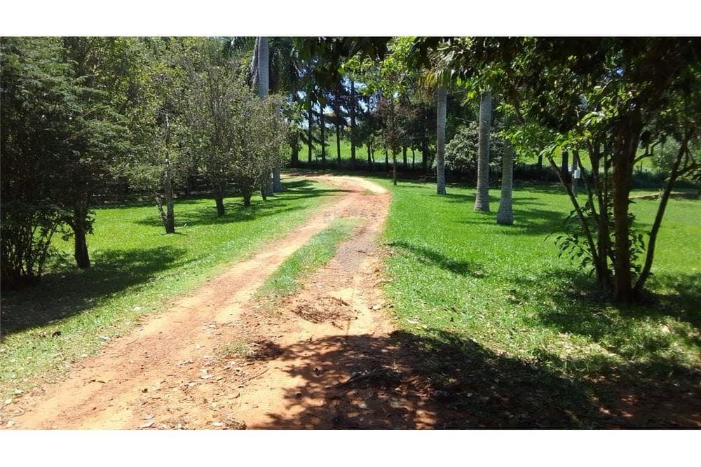 En venta 55 hectareas itacurubi de la cordillera, foto 5