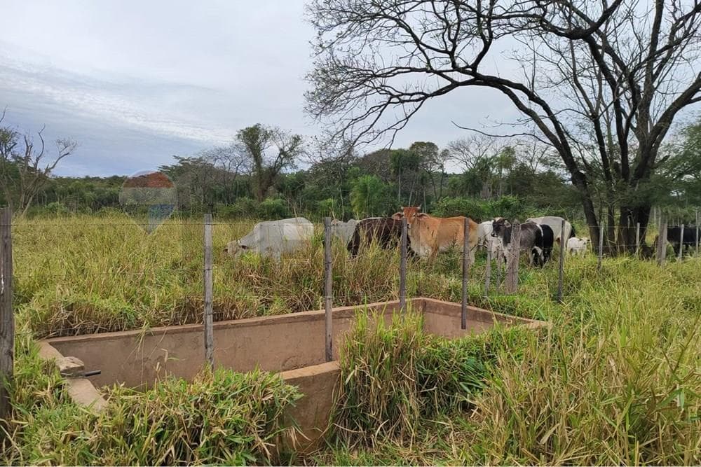 14 hectareas en yaguaron paraguari, foto 3