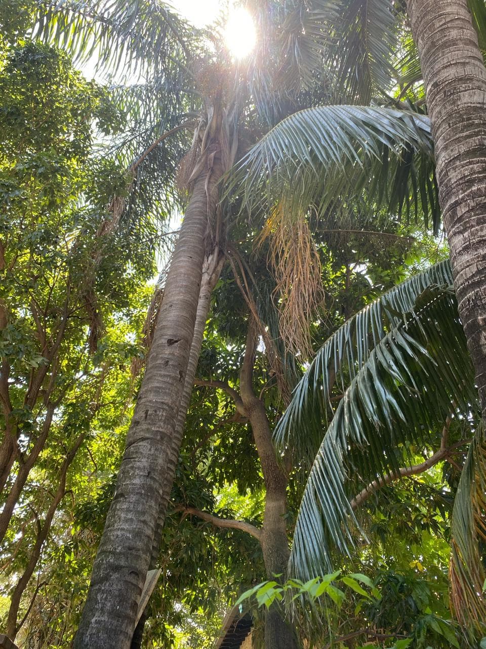 en Mburucuya, excelente ubicación — foto 3