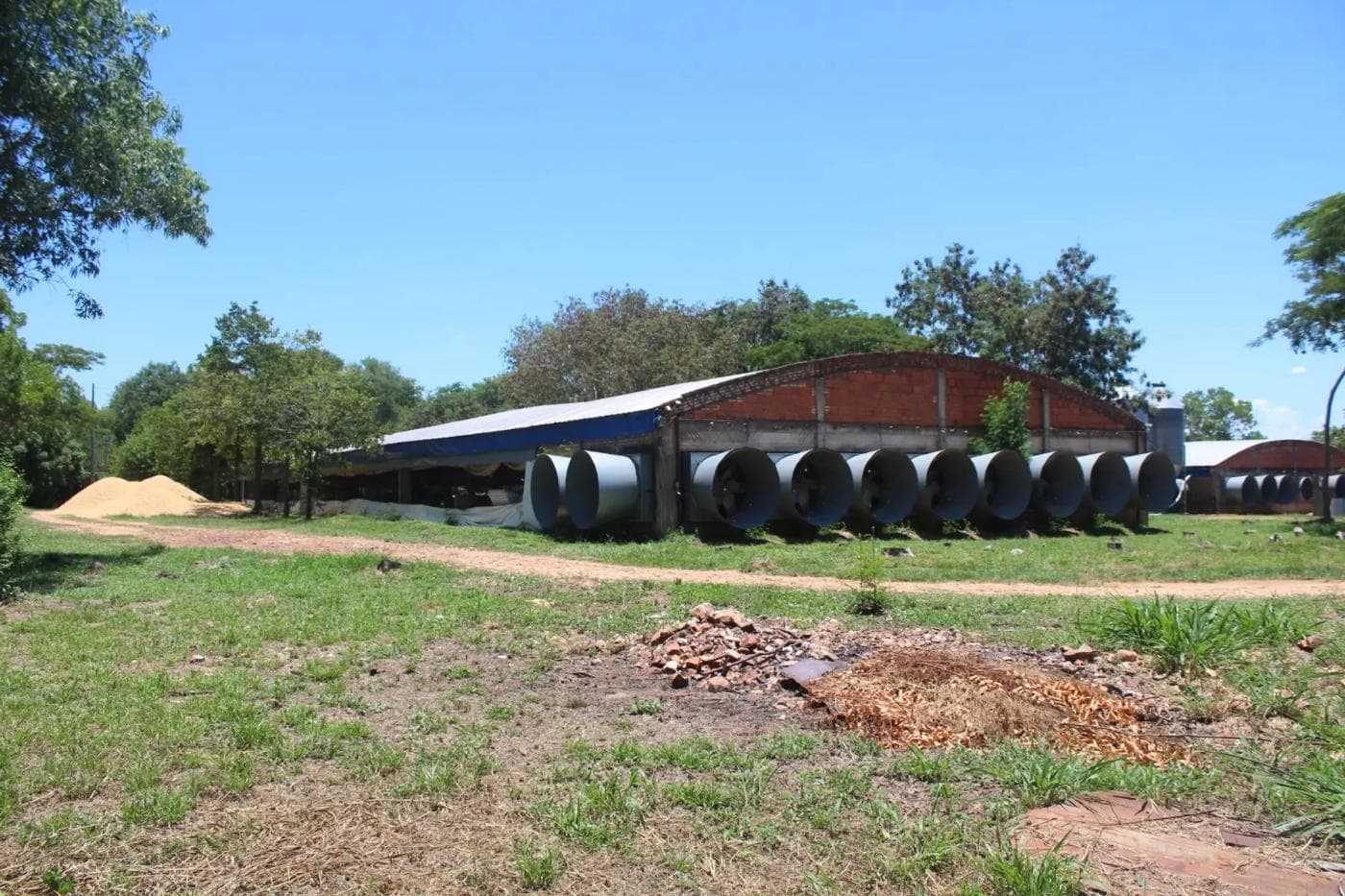 Hermosa Granja Avicola en Villeta con 2 Galpones para producción de carne — foto 4