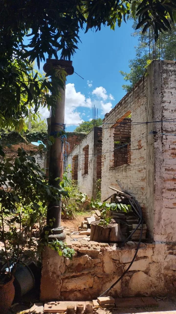 Casa 3 habitaciones y amplio terreno en barrio Madame Lynch, foto 4