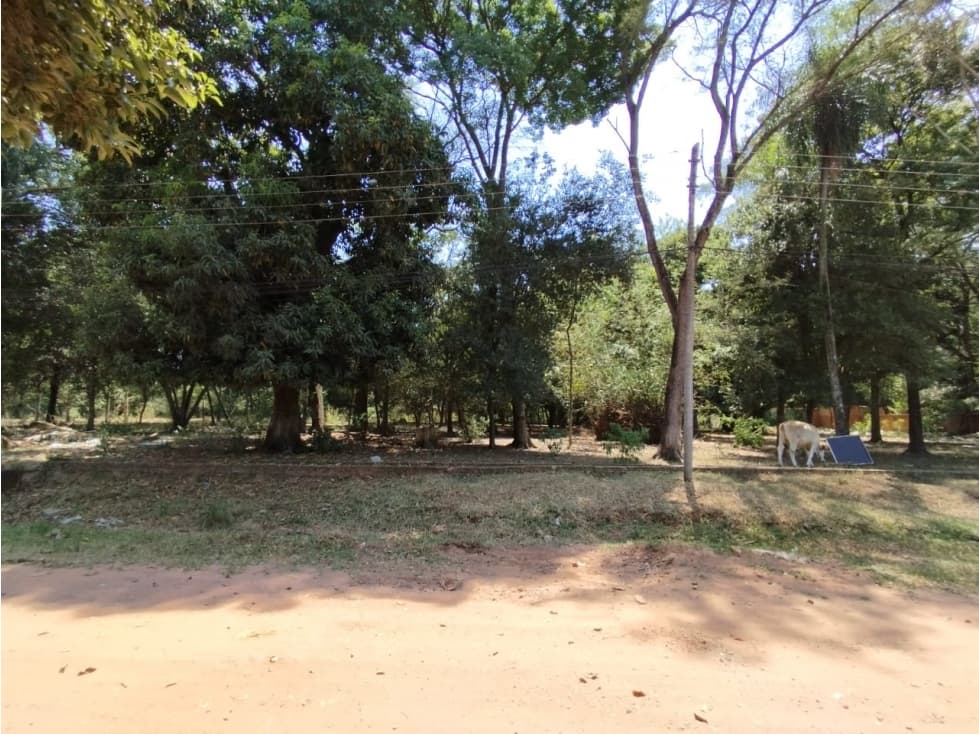 Terreno ñuati - paraguarí — foto 2
