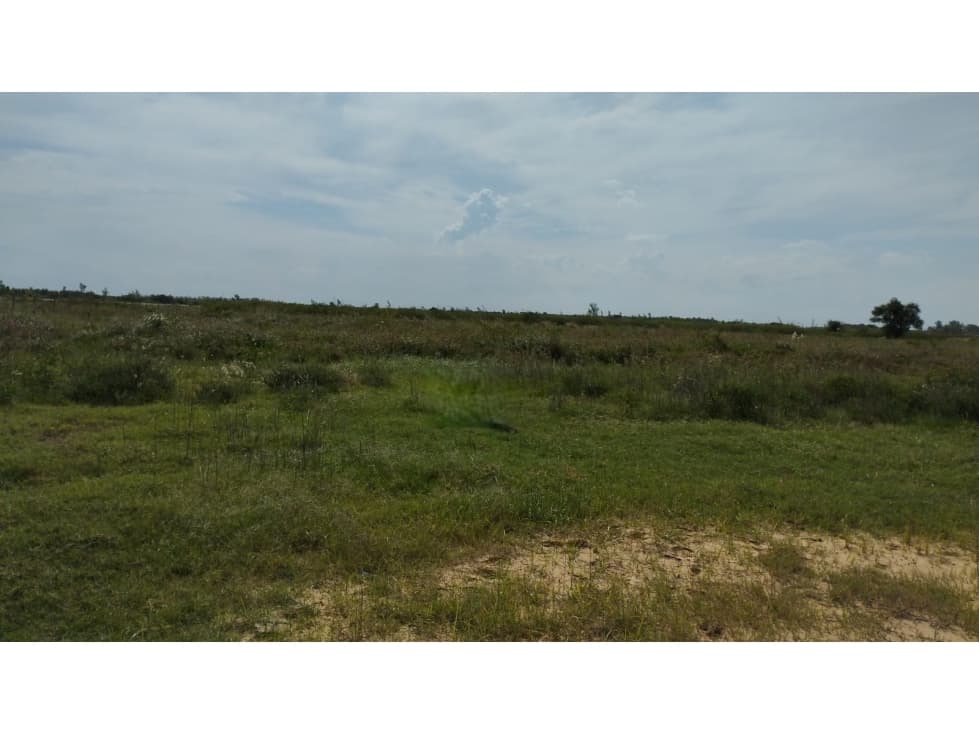 En venta terreno en ñeembucu - pilar — foto 5