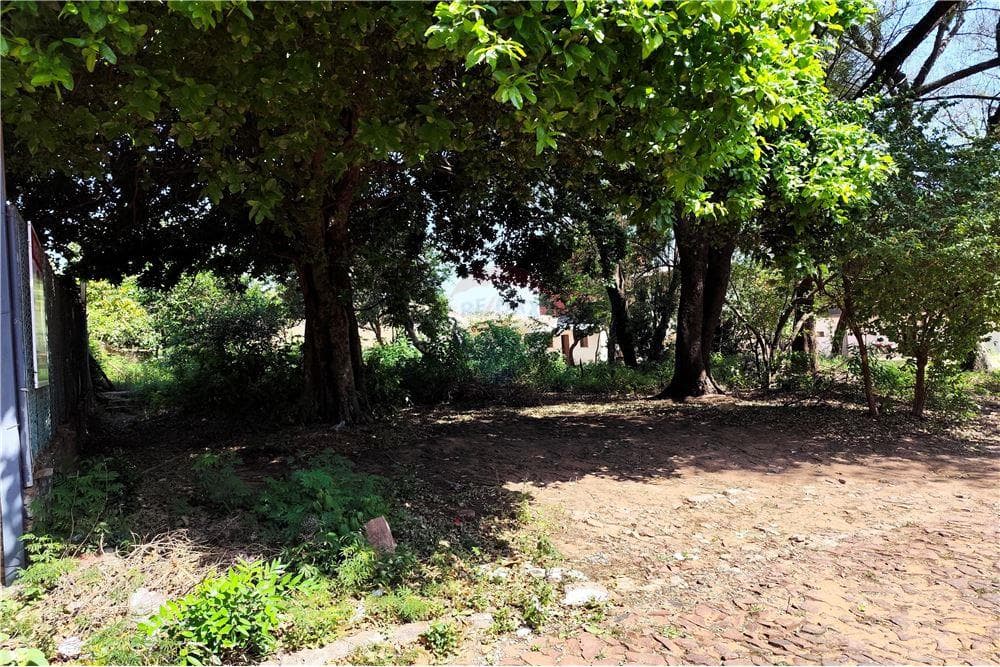Terreno - venta - paraguay central San Lorenzo, foto 4