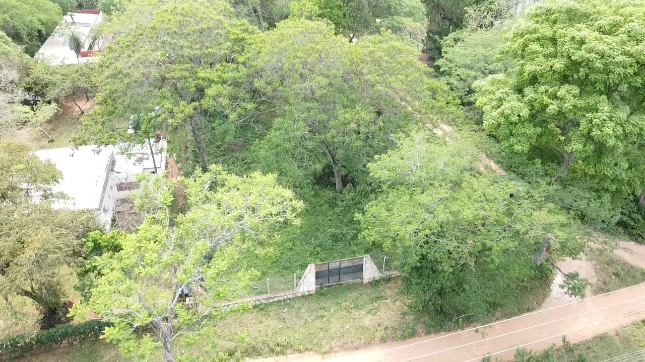 terreno en San Bernardino. Cod 068, foto 2