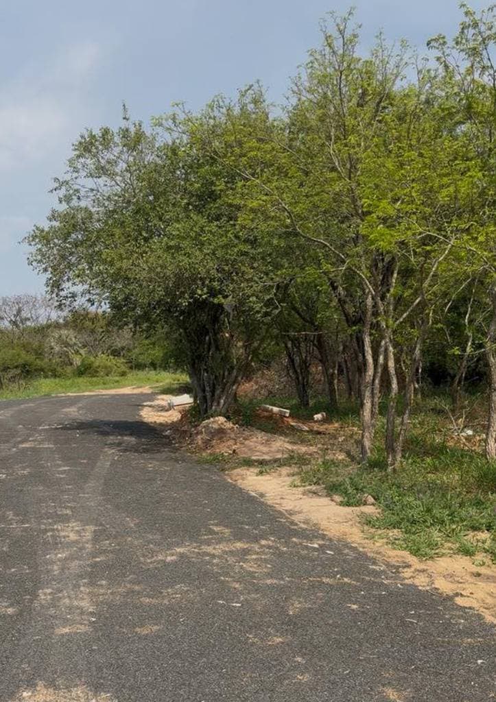 Terrenos colindandantes exclusivos en surubí’i club de campo