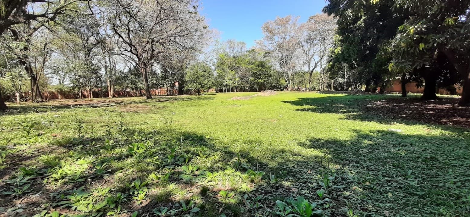 Imponente terreno en Villa Elisa, foto 5