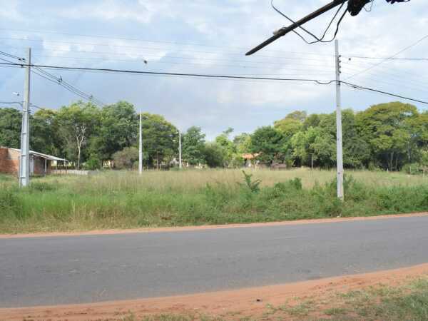 Terreno en limpio, foto 2