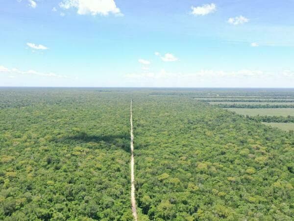 Campo de 10.500 hectáreas, foto 1