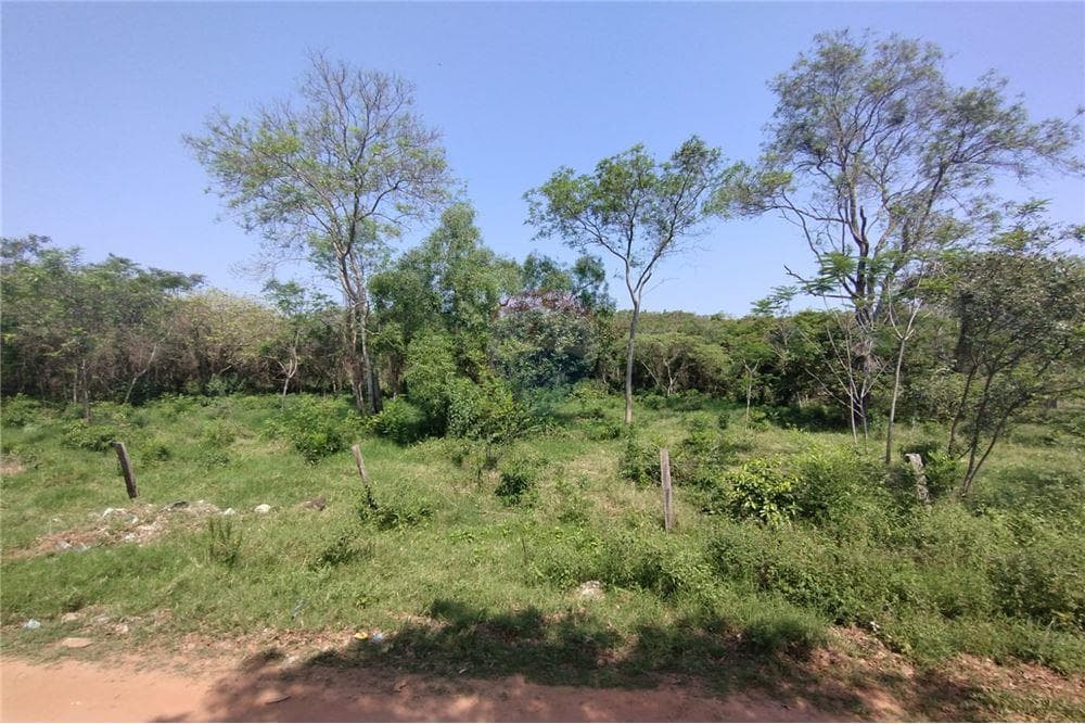 En venta Terreno con Arroyo (Arroyo Piribebuy, foto 1