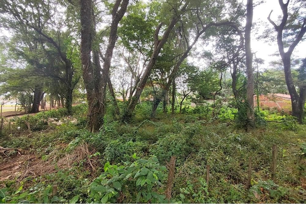 Terreno - Venta - Paraguay Central Mariano Roque Alonso, foto 4