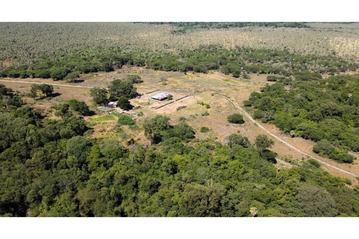 Estancia ganadera en venta benjamín aceval, chaco, foto 2