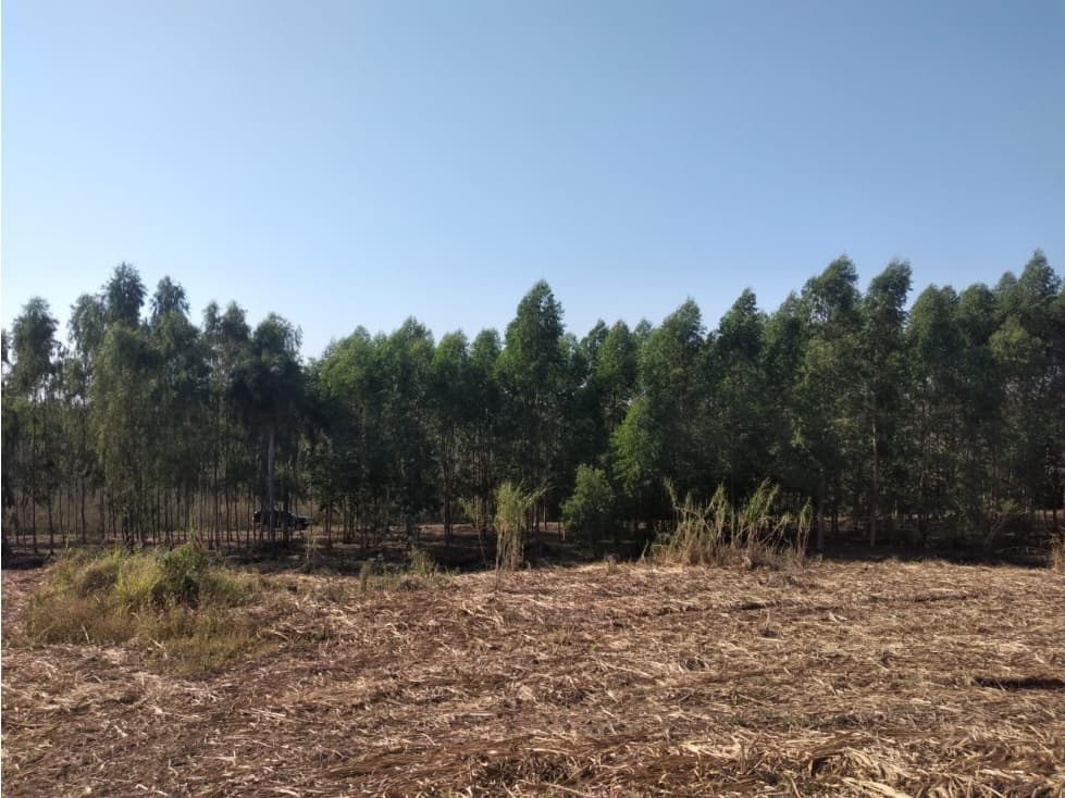 5,5 hectareas en Arroyos y Esteros, foto 1