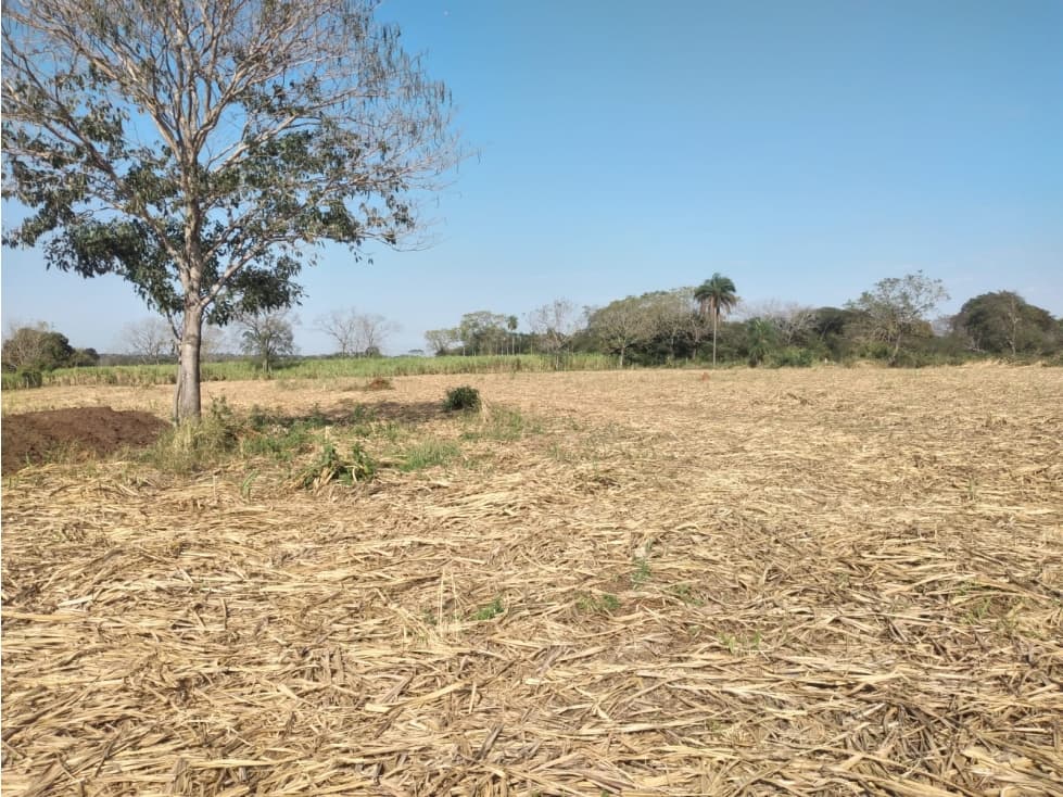 5,5 hectareas en Arroyos y Esteros, foto 3