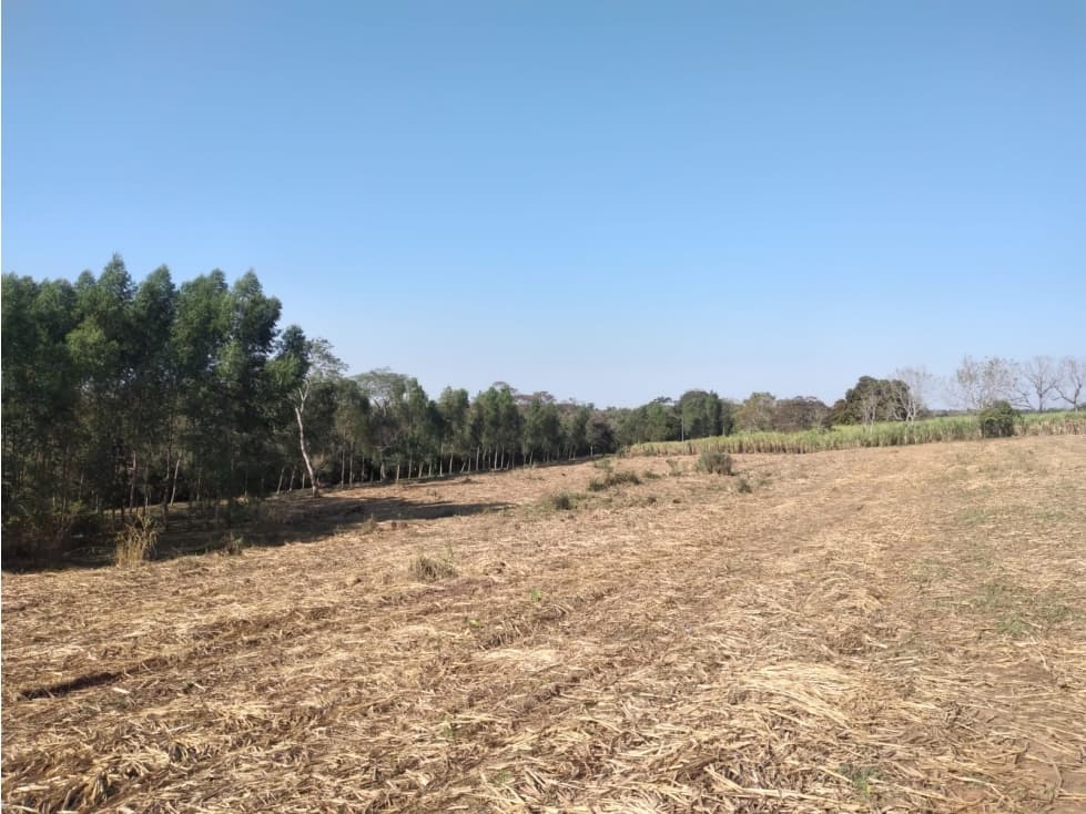 5,5 hectareas en Arroyos y Esteros, foto 2