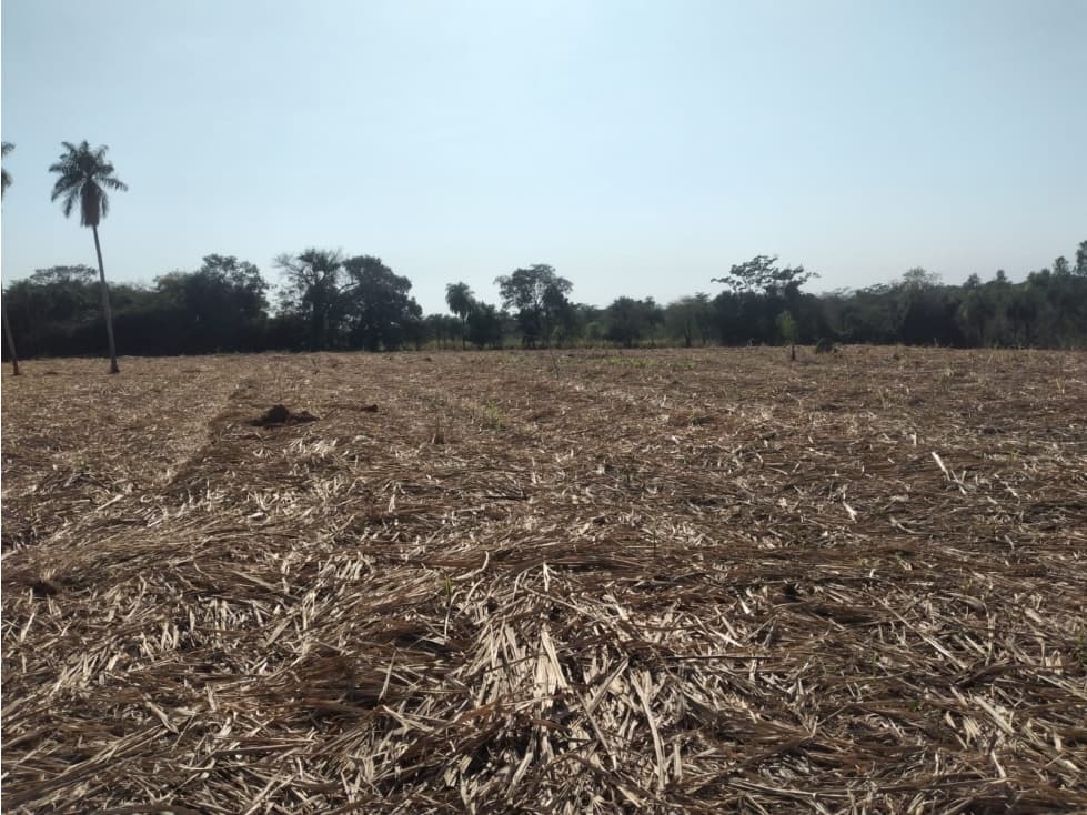 5,5 hectareas en Arroyos y Esteros, foto 4