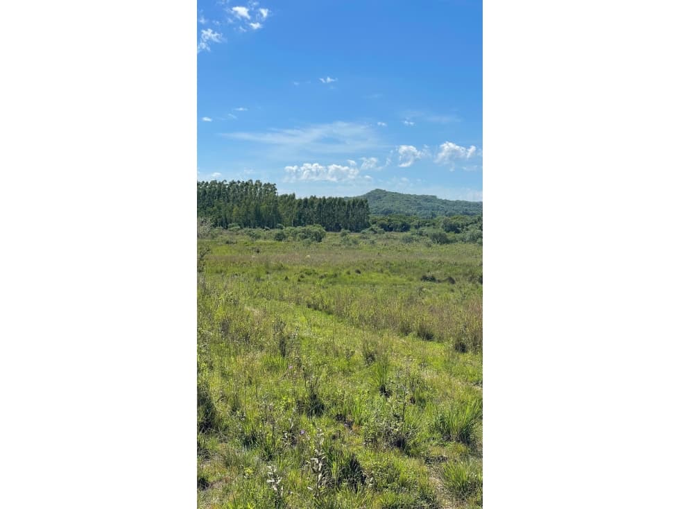 VENDO 9 HECTAREAS EN ATYRA - A 4 km del casco urbano