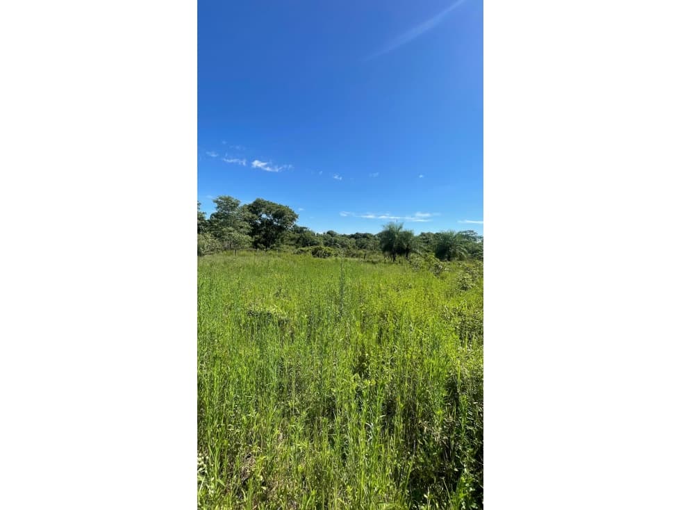 9 HECTAREAS EN ATYRA - A 4 km del casco urbano — foto 5