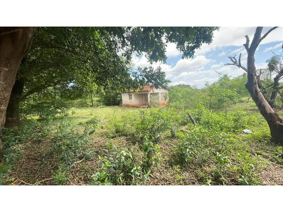 propiedad de 12,6 ha en Carapeguá, foto 3