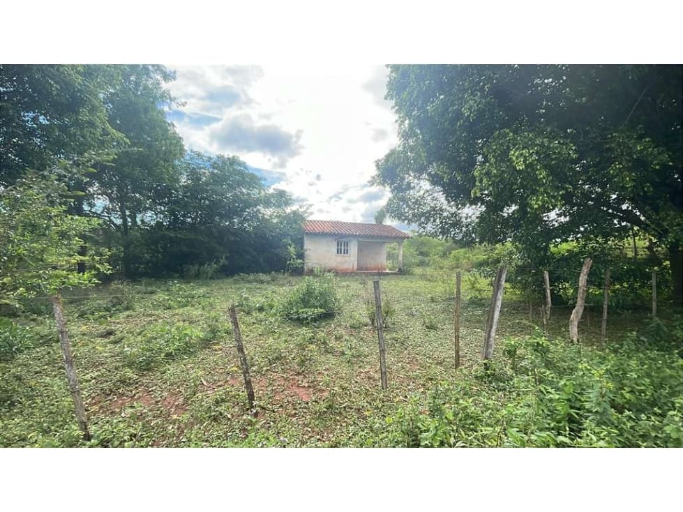 propiedad de 12,6 ha en Carapeguá, foto 4