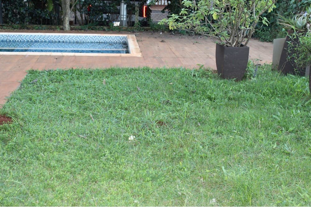 Residencia en Venta – Km 10 Monday, CDE, foto 3