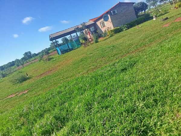 En venta hermosa propiedad rural de 50 hectáreas sobre ruta 3 canindeyú, foto 2