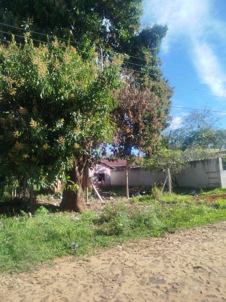 Terreno en Venta en San Lorenzo, foto 5