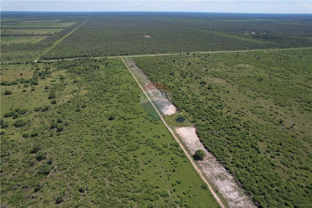 campo de 3,749 Hectáreas en Presidente Hayes a 740 USD por Ha, foto 3