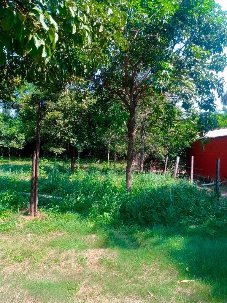 En venta terreno en limpio 410,76 m²