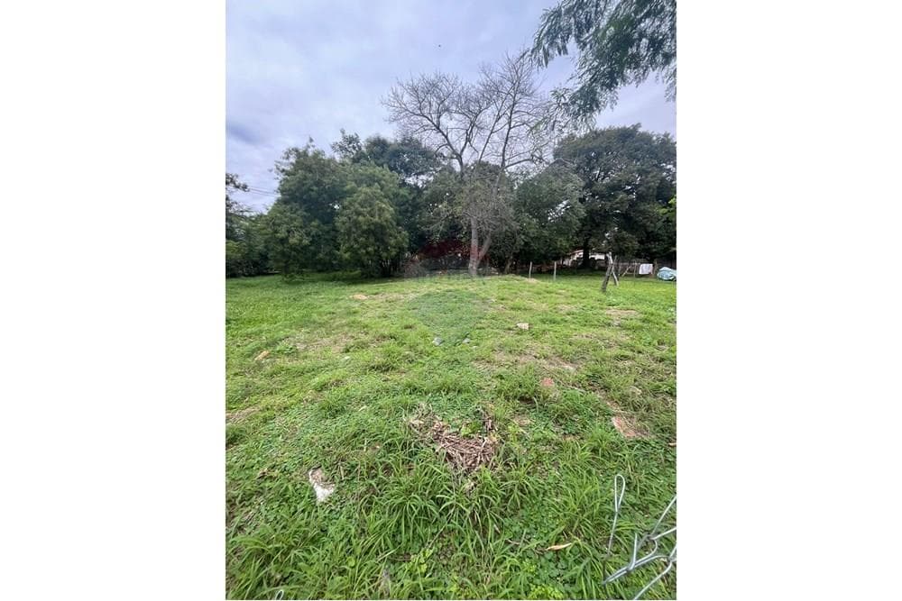 Terreno a 100 mts de autopista ñu guasu, foto 2