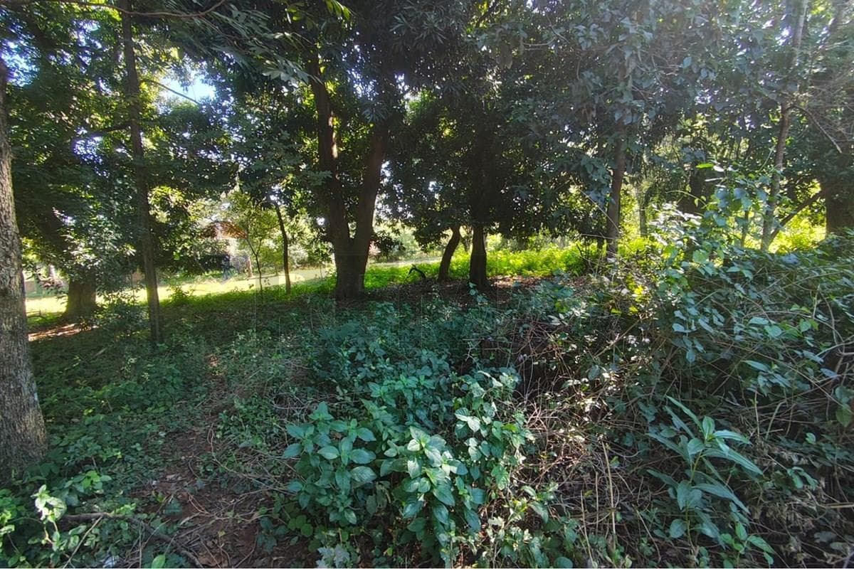 Alquilo terreno en capiata