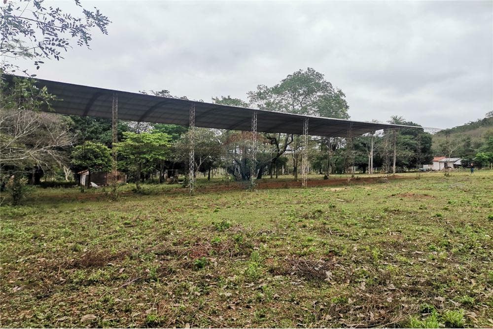 Terreno de 4 Hectareas en oferta, foto 5