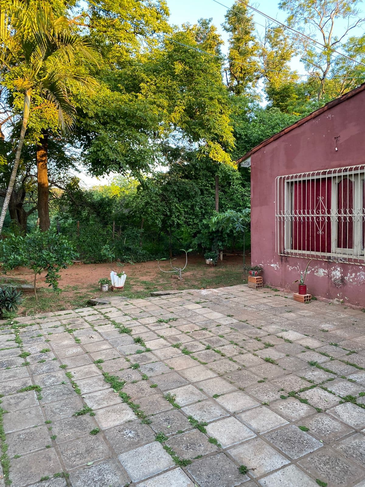 Terreno en isla bogado, Luque, foto 4