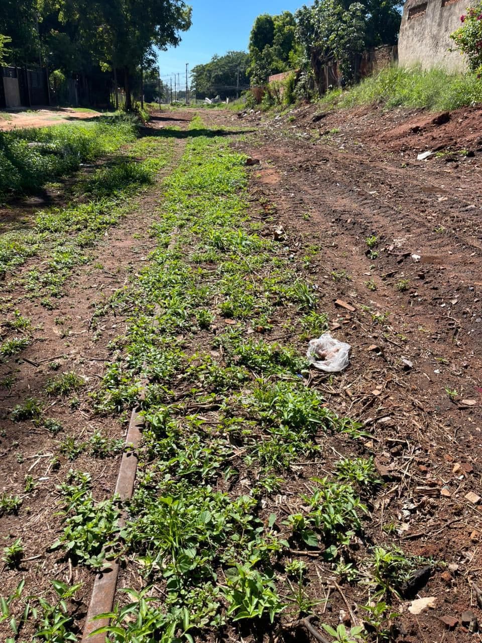 de Terreno Estratégico en el Centro de Luque, foto 3