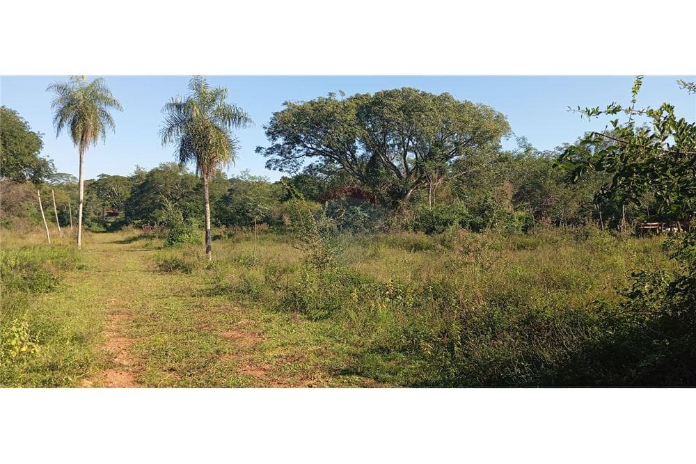 Central Luque, foto 5