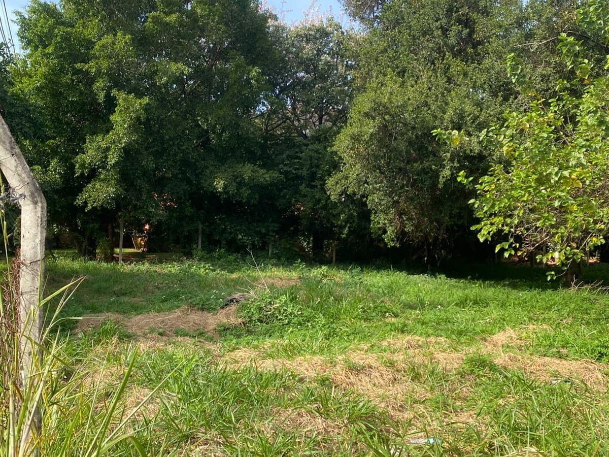 2 terrenos en esquina en fernando zona norte, foto 2