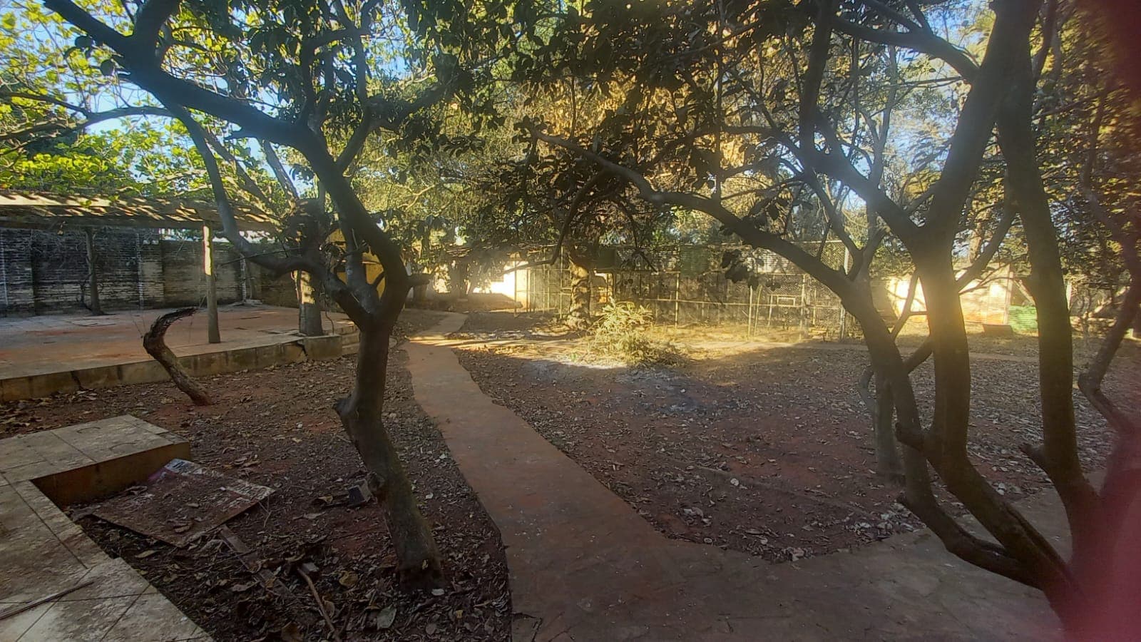 Propiedad de 4.650 m2 en Maramburé, Luque. Cod 037 — foto 2