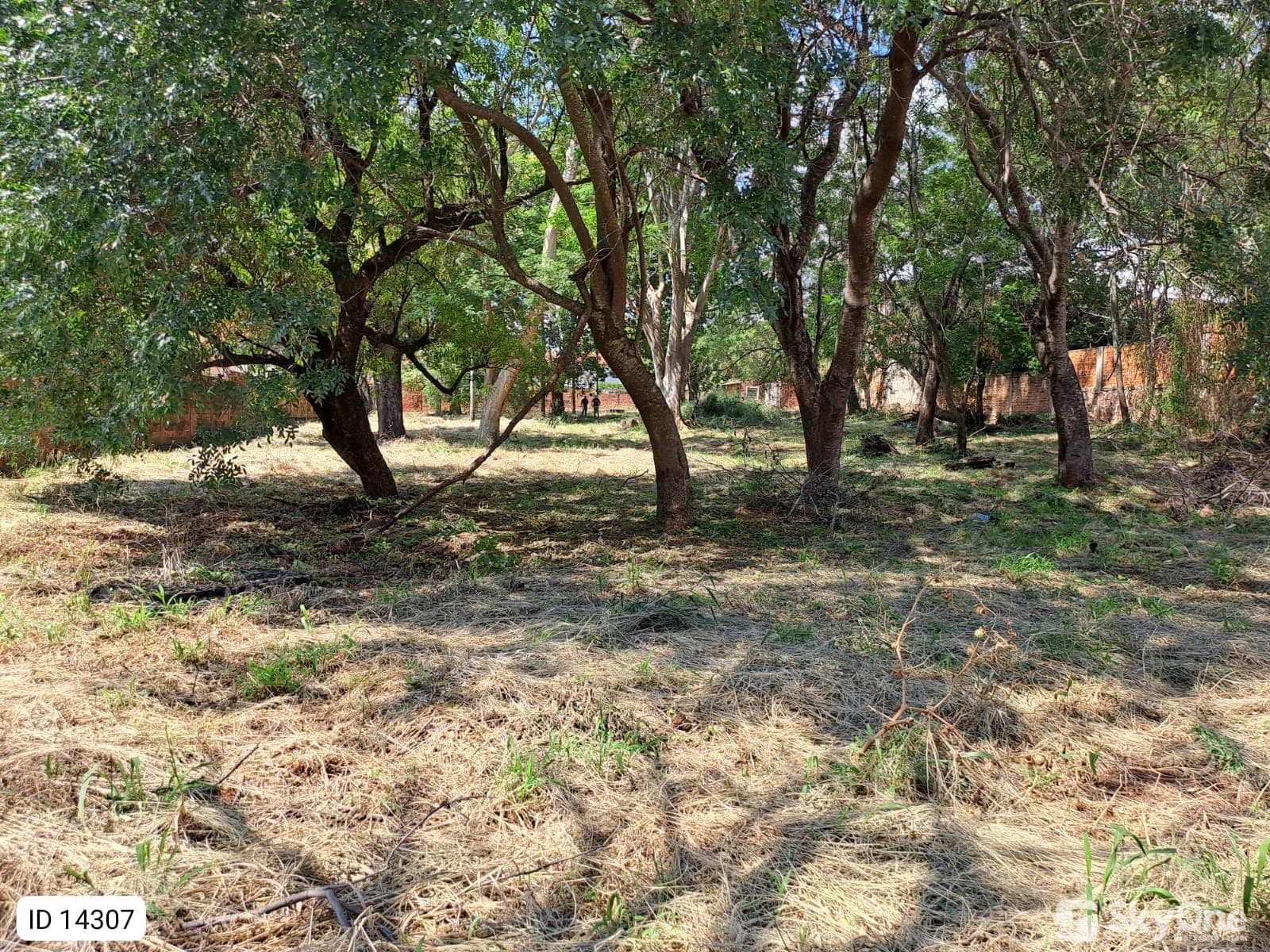 Terreno en Villa Elisa, foto 5