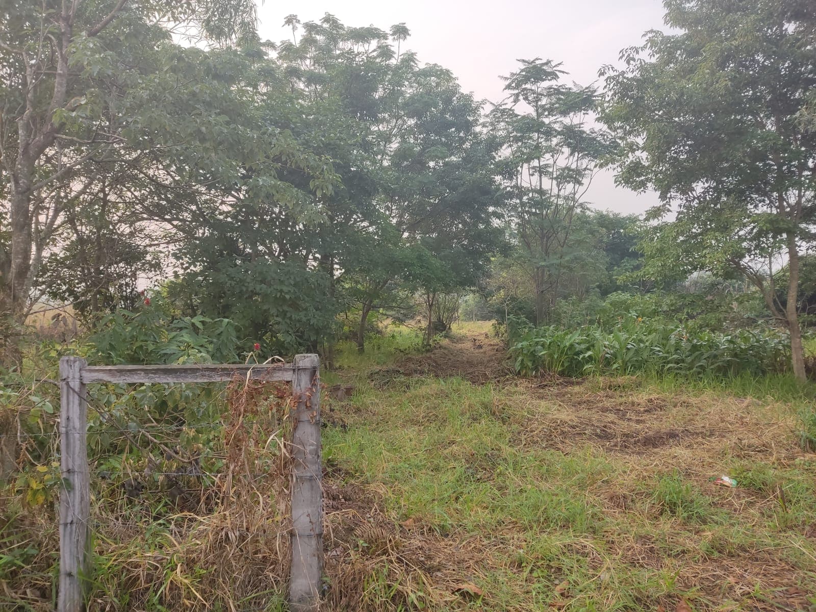 Surubi'I - Zona Privilegiada - 1300 M2 — foto 4