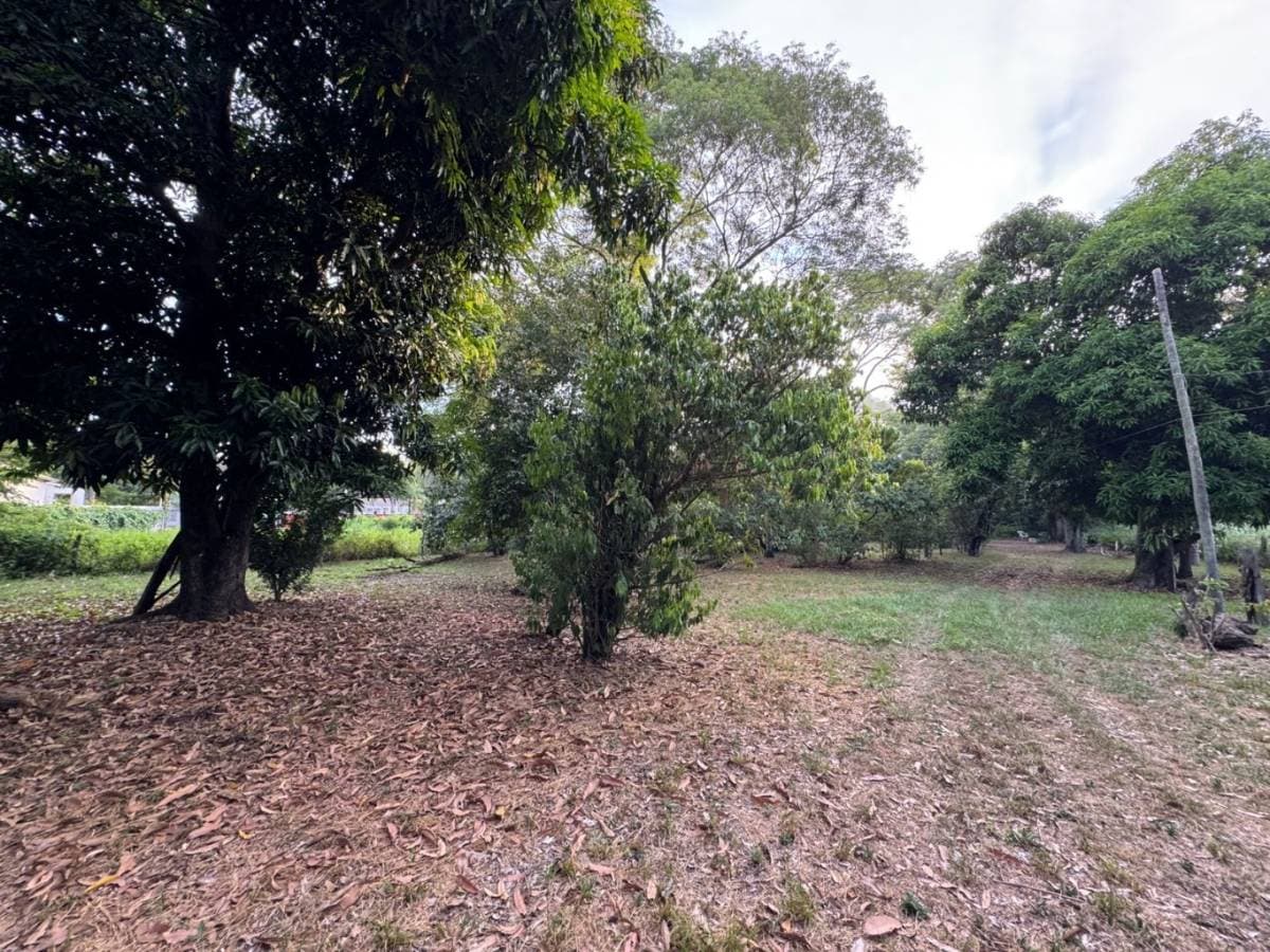 En venta – terreno de 3.600 m² en San Bernardino . Id 46264, foto 4