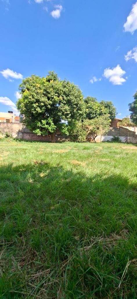 2 terrenos en barrio Herrera con amplio frente, foto 2