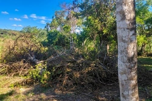 2 terrenos en loma grande - agua-y, foto 2